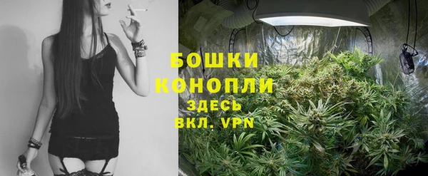 COCAINE Белокуриха