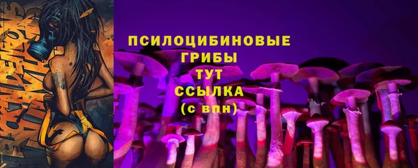 бошки Белоозёрский