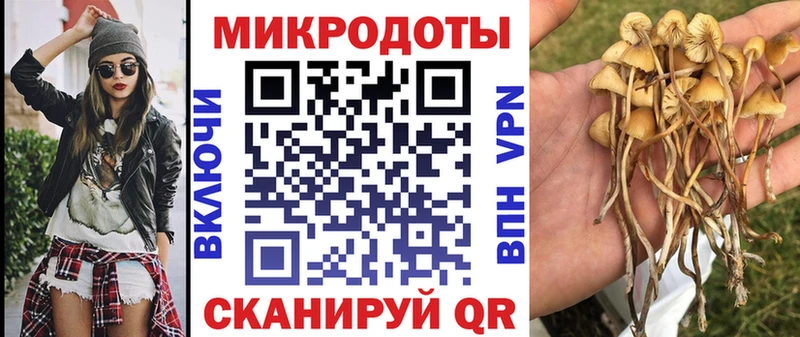 Псилоцибиновые грибы Magic Shrooms  Купить где  Мирный 